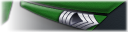 Master Sergeant rank image
