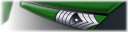 Sergeant Major rank image