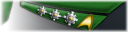 Major rank image